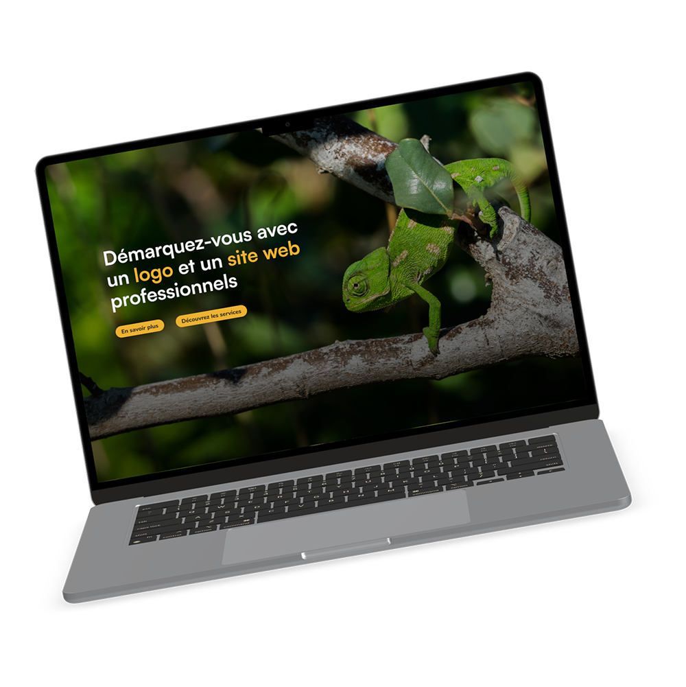 photo d'un ordinateur avec la page d'accueil du site web de dilepis
